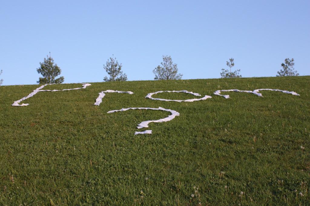 Senior Justin Goldberger asked TA senior Emily Todd to prom by writing Prom? on the HHS hill with paper. Photo by Phillip Bannister