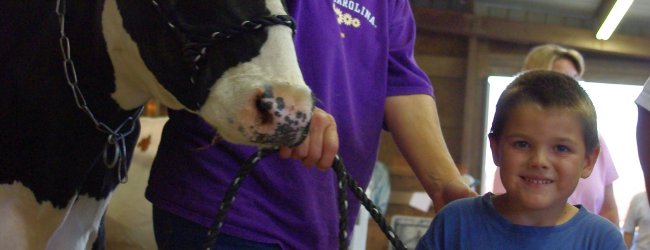 Rockingham County Fair: showing animals becomes a tradition