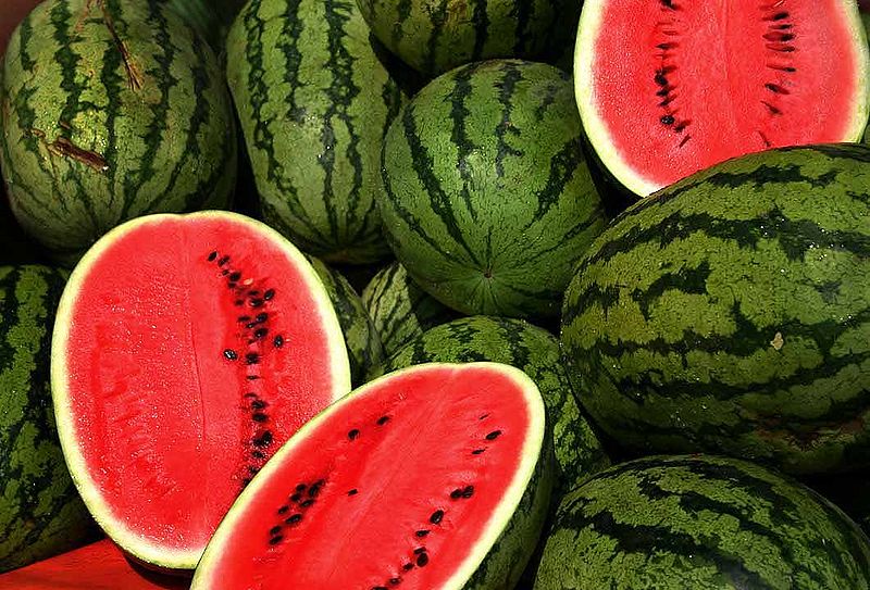 Watermelons, sadly, are not elephant eggs.
