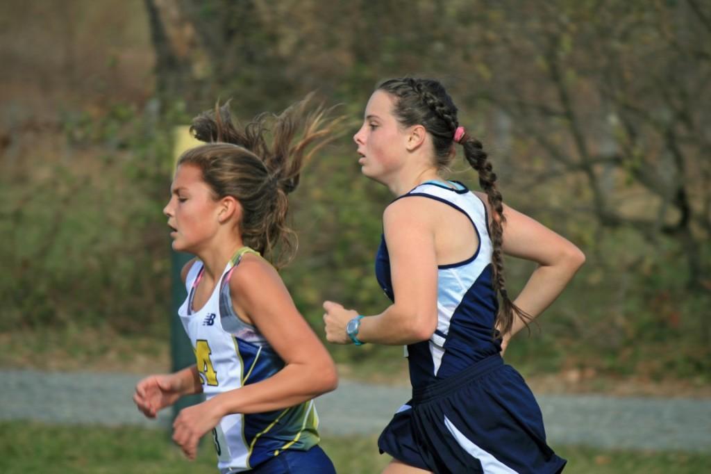 Junior Laurie Serrell competes at state cross country meet