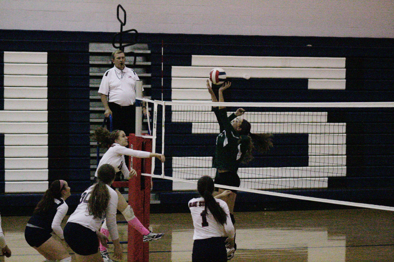 Junior Casey Wilson hits the ball.