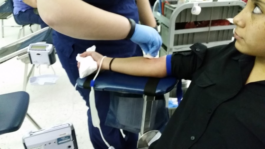 A nurse is preparing junior Abrianna Castro to give blood.