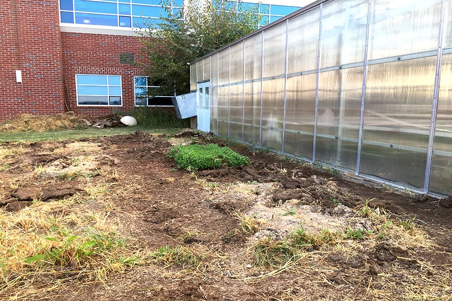 Classes use the outdoor space to plant as well as in the greenhouse.