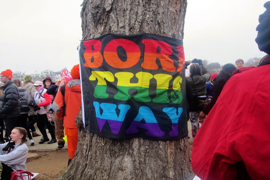 A sign is stuck to a tree by the protest