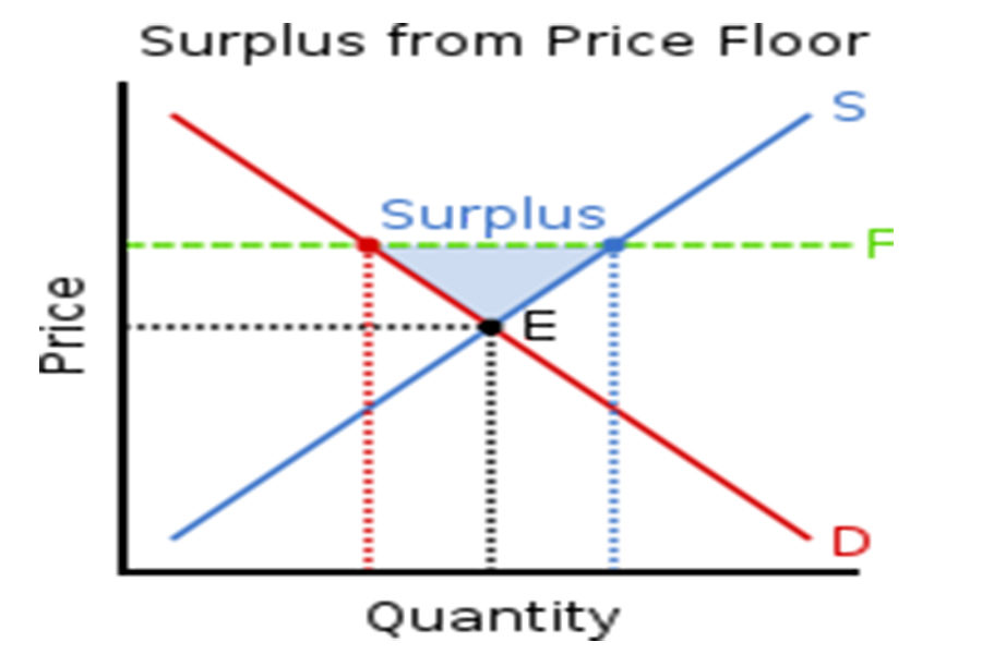 The minimum wage functions as a price floor, which causes a surplus of labor. More people will want jobs than can get them.