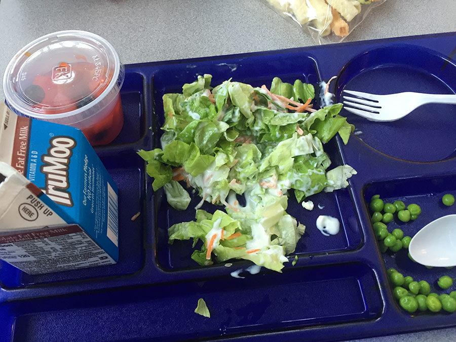 A student made salad from the salad bar sits on a lunch tray.