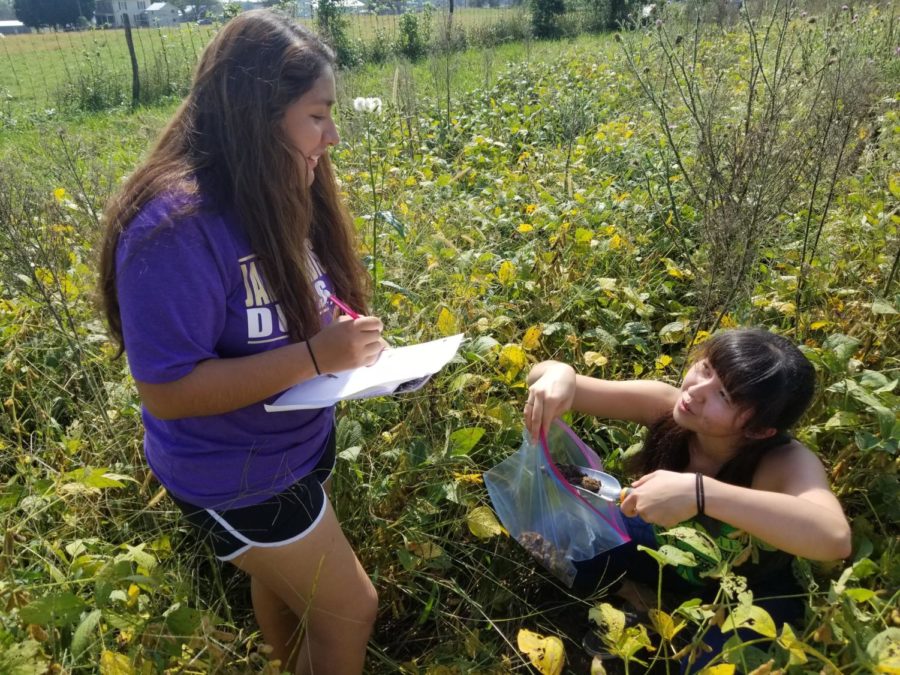 Seniors Alexia Munoz (left) and Marena Benton (right) discuss whether theyve collected enough soil. Students were instructed to get enough to fill a beer bottle. Later in the year, they will be using a similarly sized container to plant soybeans.