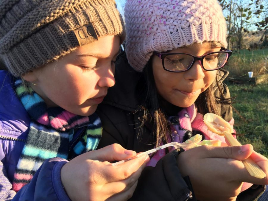 Bunns sister, Matilda (left), and cousin, Racquel Hanger (right), enjoy a frozen treat in the frozen weather.
