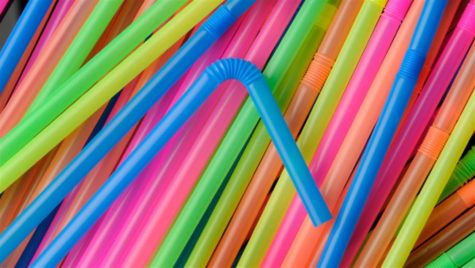 Oodles of straws display their vibrant colors in an attempt to distract from the tragedies they cause.