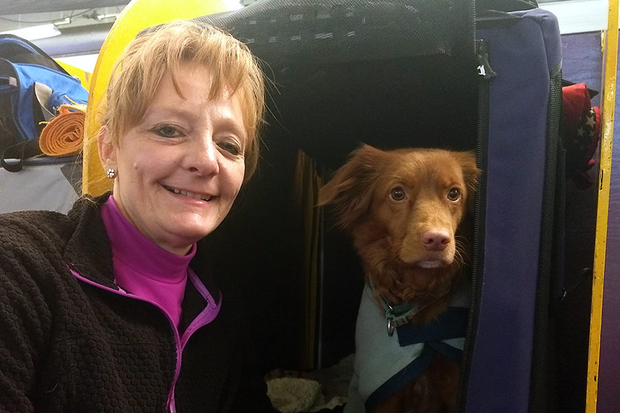 Wendy Pendleton shows off her Nova Scotia Duck Tolling Retriever.