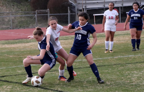 JV girls soccer falls to Fauquier