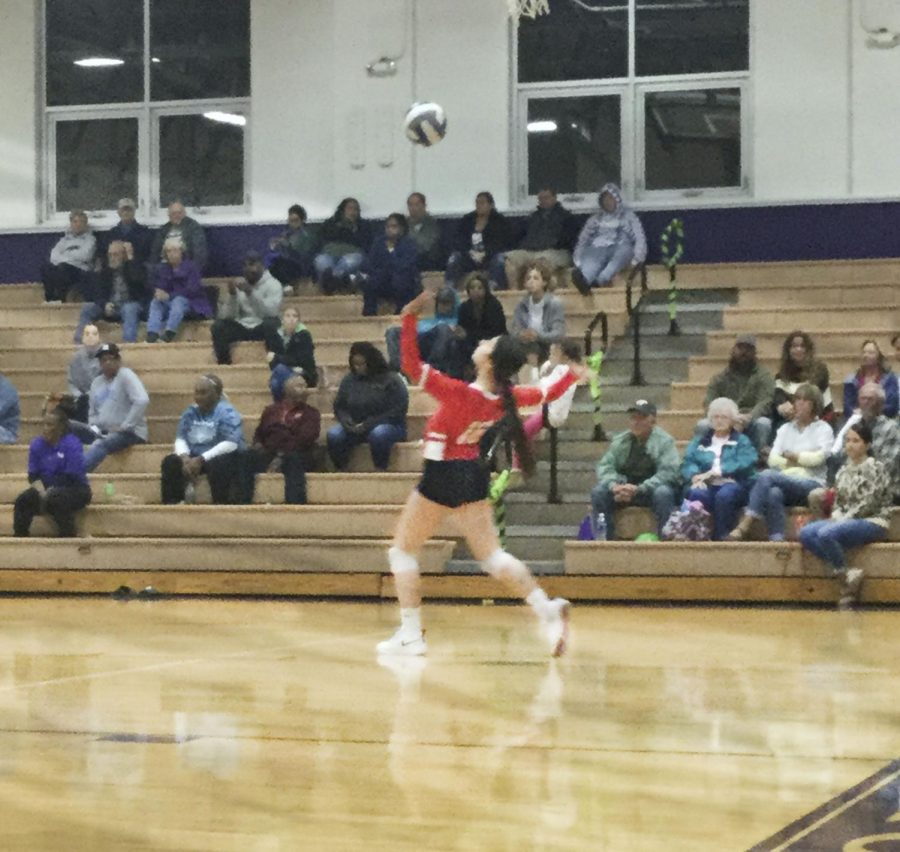 Senior Abby McColumn serves the ball over the net.