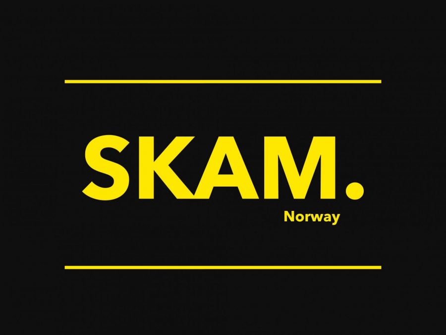 Taking+place+in+Norway%2C+SKAM+%28meaning+shame+in+Norwegian%29+tracks+the+lives+of+four+high+schoolers+over+the+course+of+four+seasons+and+tackles+issues+such+as+racism%2C+mental+health%2C+sexual+assault%2C+homophobia+and+many+more.