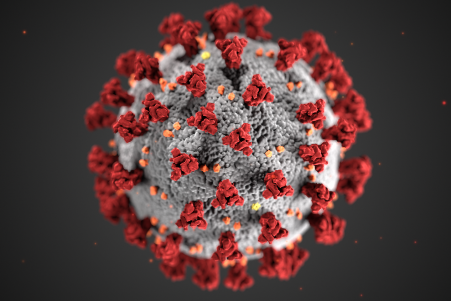 This illustration, created at the Centers for Disease Control and Prevention (CDC), reveals ultrastructural morphology exhibited by coronaviruses. A novel coronavirus, named Severe Acute Respiratory Syndrome coronavirus 2 (SARS-CoV-2), was identified as the cause of an outbreak of respiratory illness first detected in Wuhan, China in 2019. The illness caused by this virus has been named coronavirus disease 2019 (COVID-19).