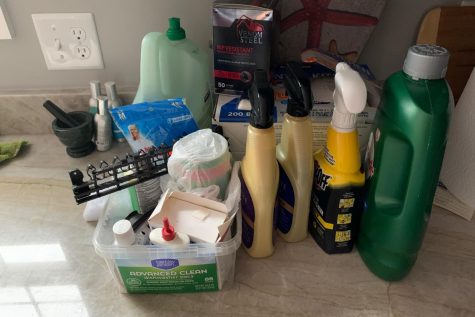 Freshman Imaan Shakoor's family stocked up on cleaning supplies to try to prevent the spread of coronavirus.