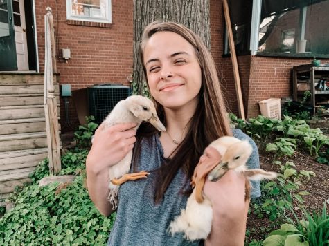 Sophomore Clara Miller holds her two American Pekin ducks, Kona and Arlo.