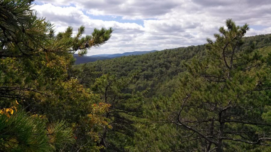 The view from the highest point at Hidden Rocks. In freshman Caryanne Shaws opinion article, she recommends to see the sight in the autumn for the best view. 