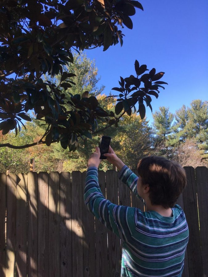 Freshman William Deloney taking a photo of his tree for his STEM project.