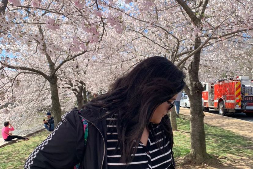 Freshman Kristi Duong stands around cherry blossom trees, a plant that carries significance and symbolism in Japanese culture. Duong one day hopes to move to Japan, and she believes others should learn more about Japanese culture. “I really encourage everyone to take part in this beautiful culture and learn a few unique things from it,” Duong said. 
