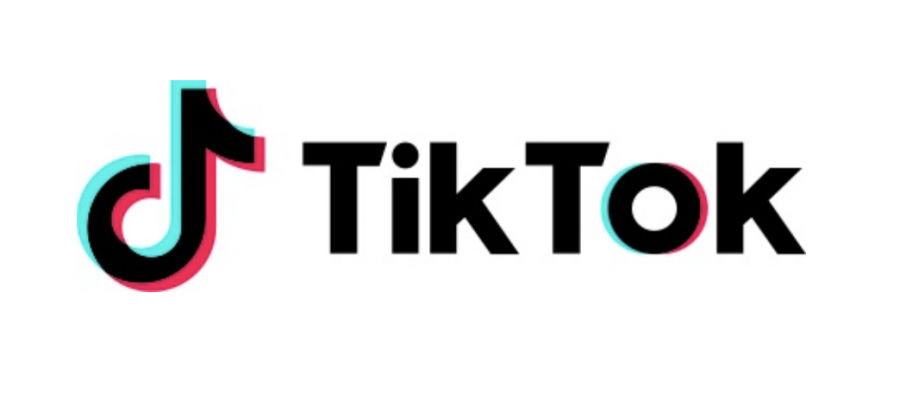 Launched in the U.S. in 2017, TikTok is a video-based social media platform.
