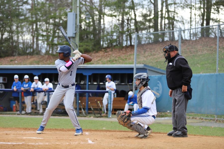 Sophomore designated hitter Miguel Fajardo bats against Spotswood during a game earlier this season. 