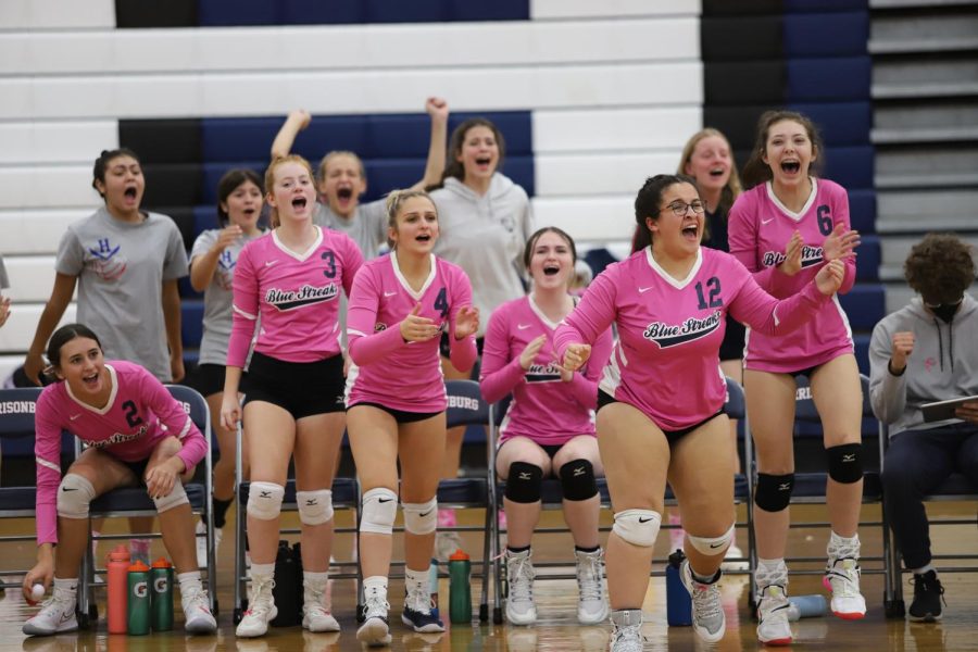 The Blue Streaks celebrate after winning their match against the Culpeper Blue Devils.
