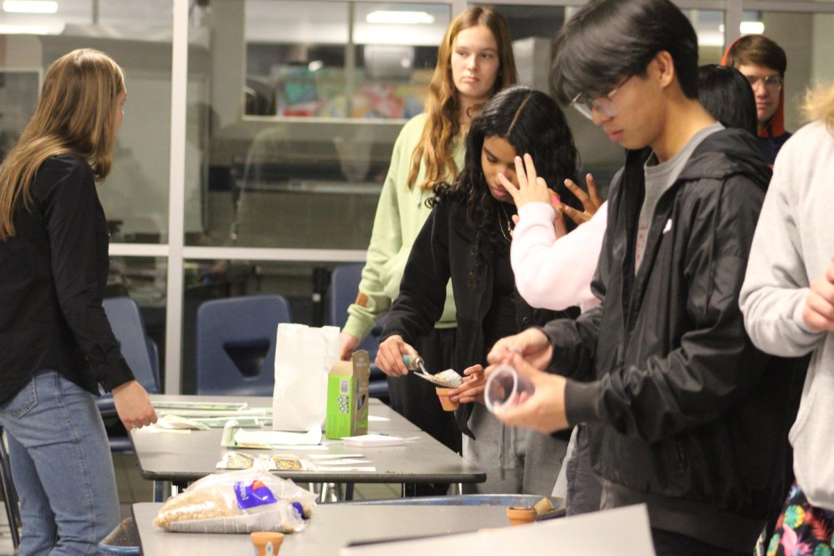 Students decorate and make little pots of  plants for the botany station.