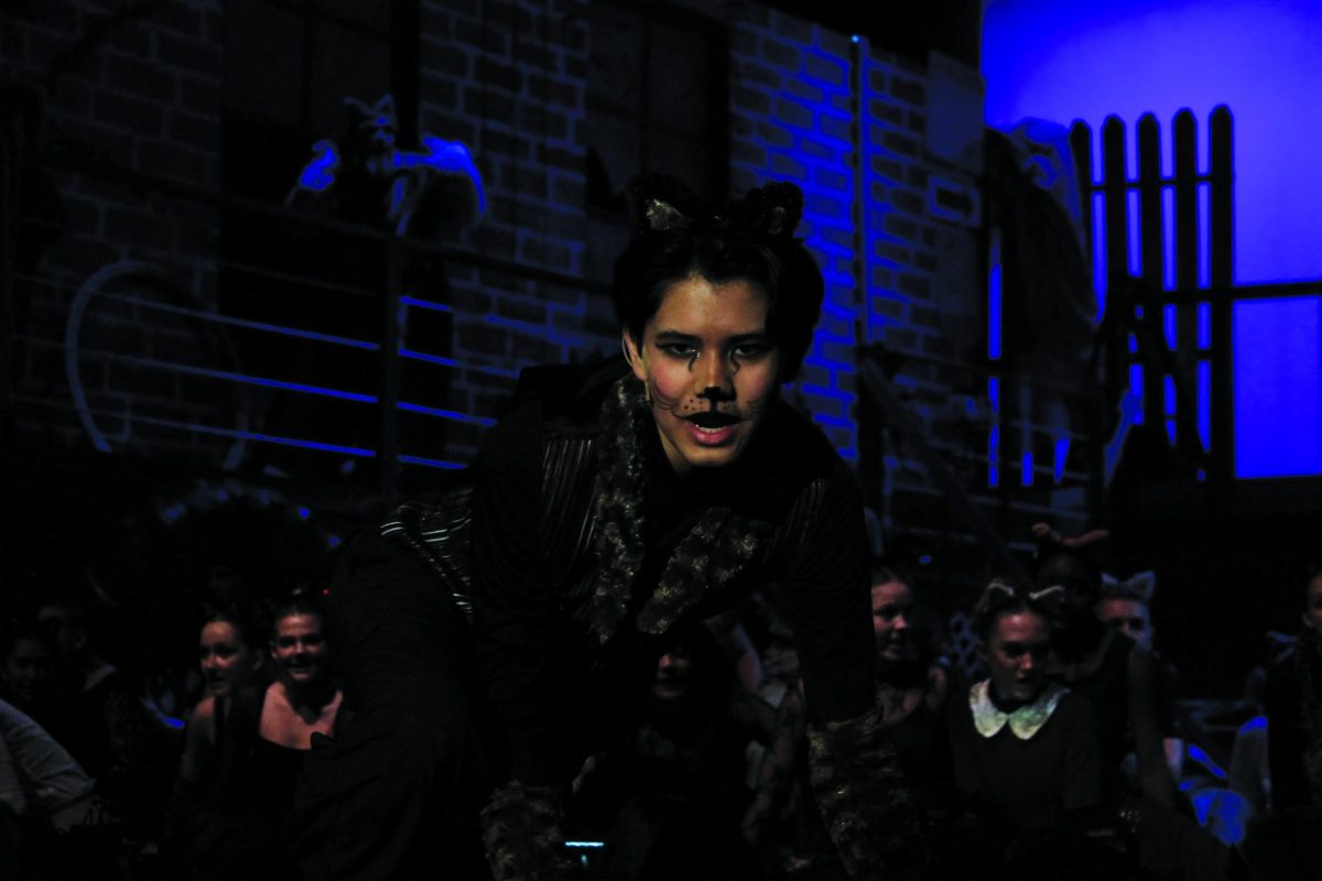 Munkustrap, played by Theo Thompson, leans into the audience during his performance.
