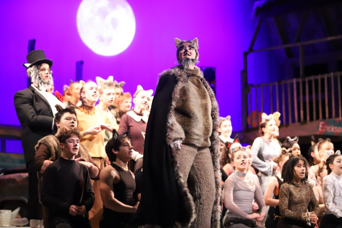 Senior Bazil Gibson sings as Old Deuteronomy, one of the lead cats.