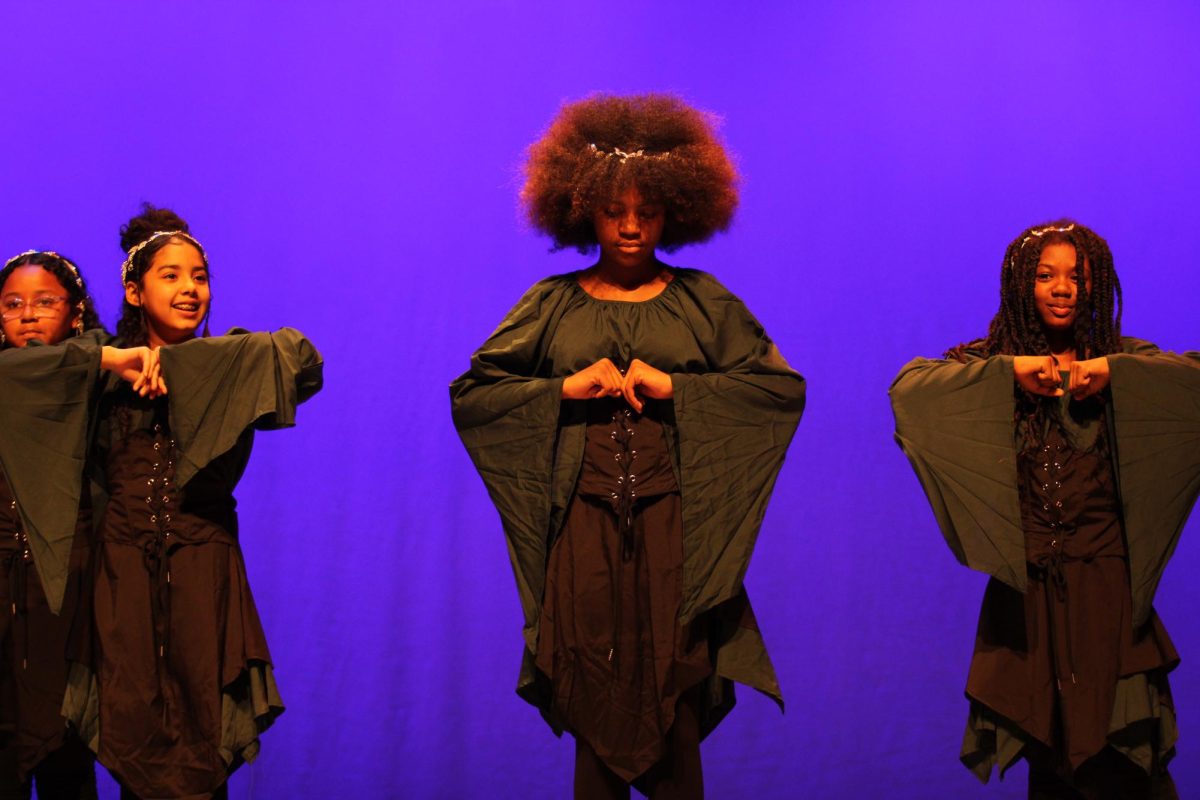 The Skyline Step Team opens the talent show with their original step performance. The Skyline Step Team was one of the two non-highschool performances. The routine was choreographed by Anita Adjetey and Jecenica Hembry-McGee.