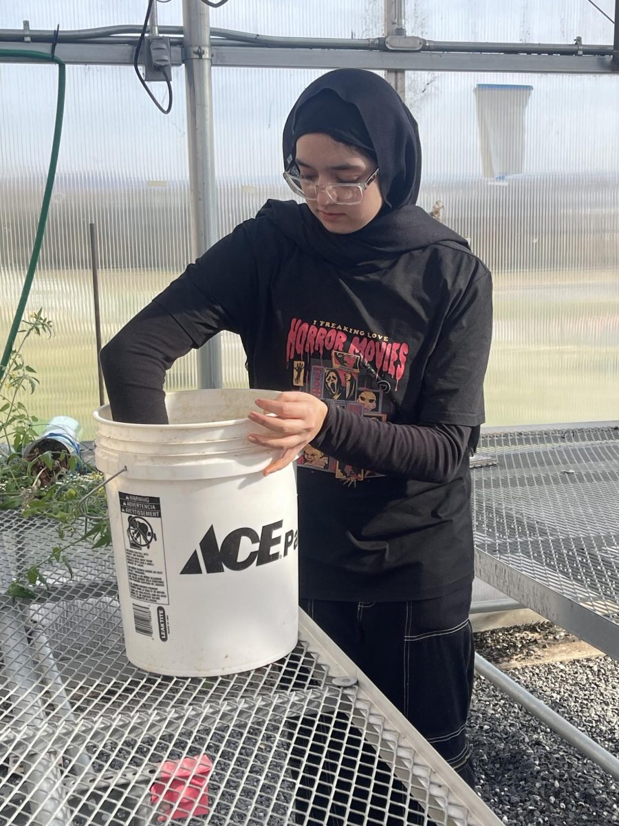 Sophomore Suramanraa Samraai mixing the seeds.
