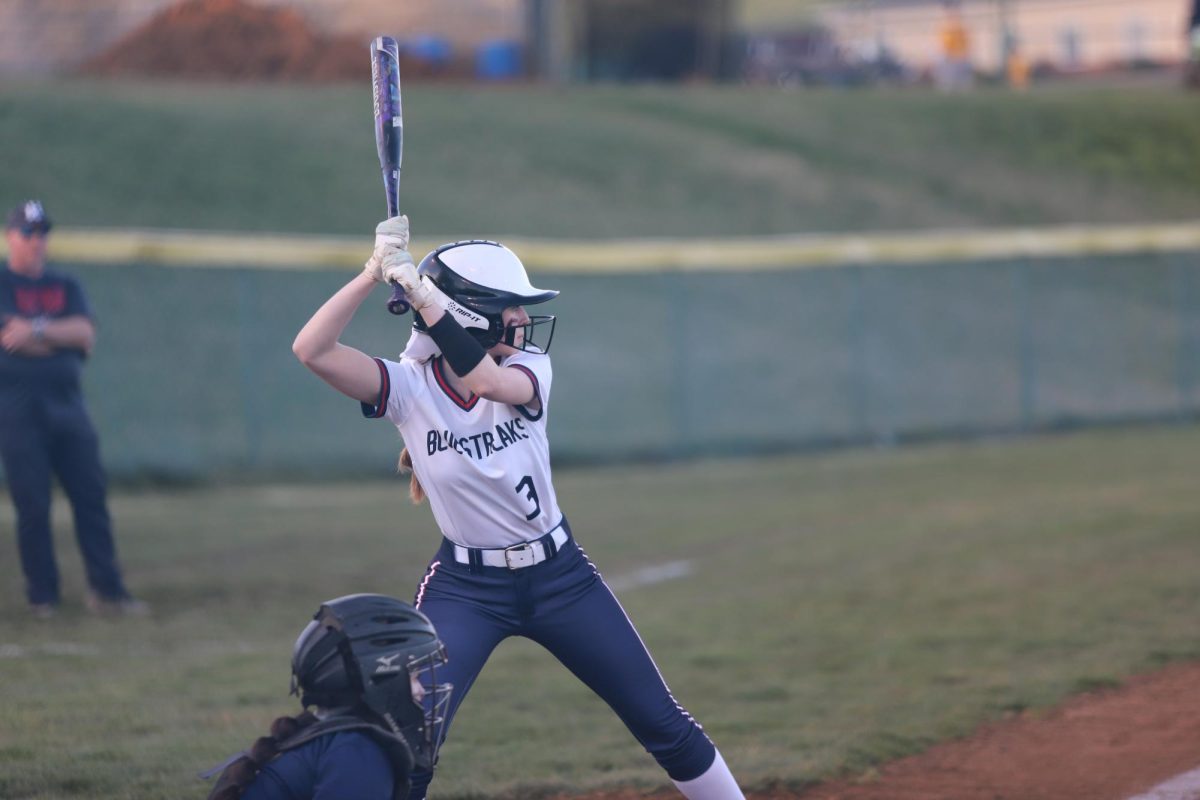 Senior Camryn Johnson goes up to bat.