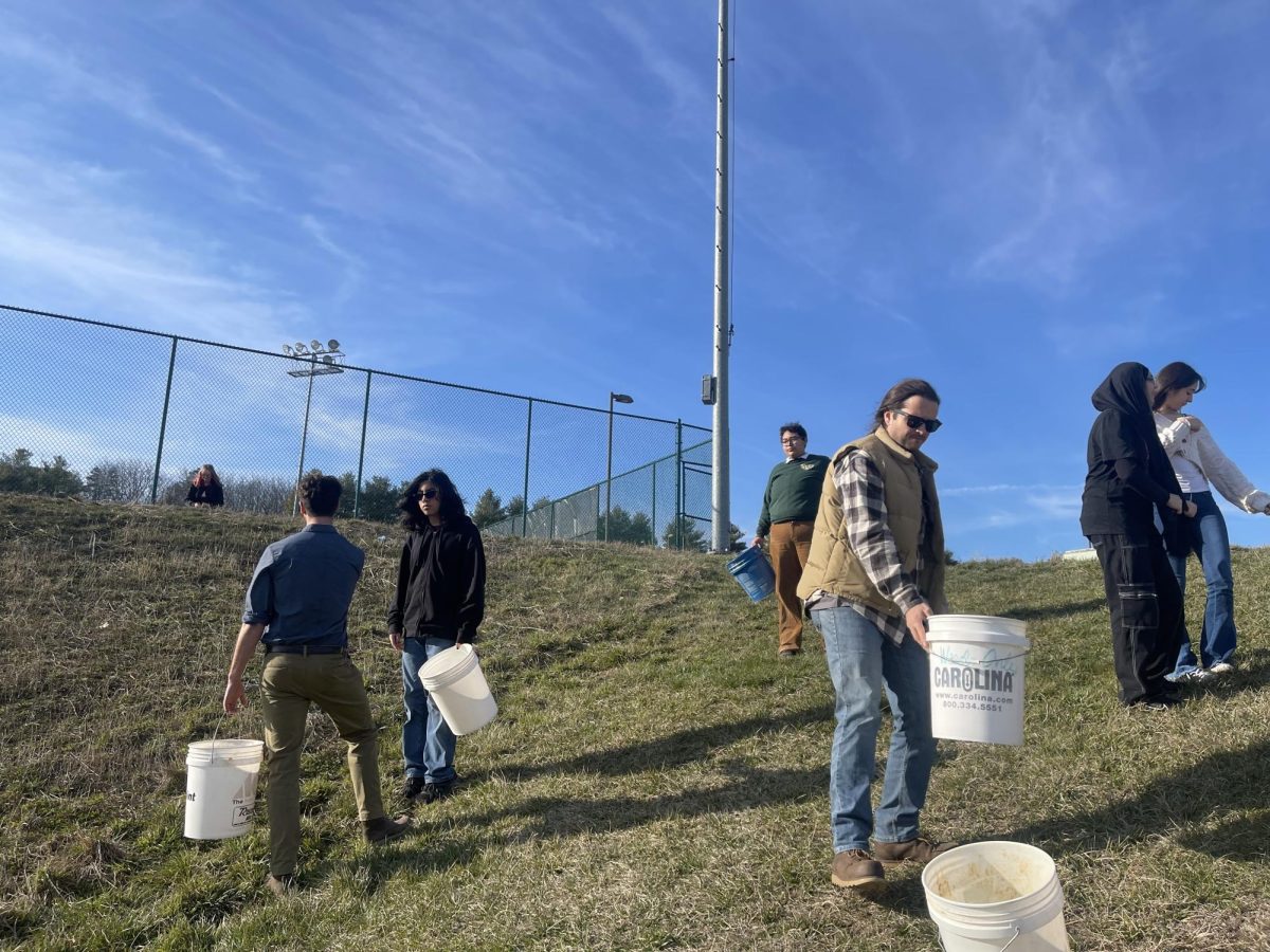 Students working hard to empty out the seeds buckets.