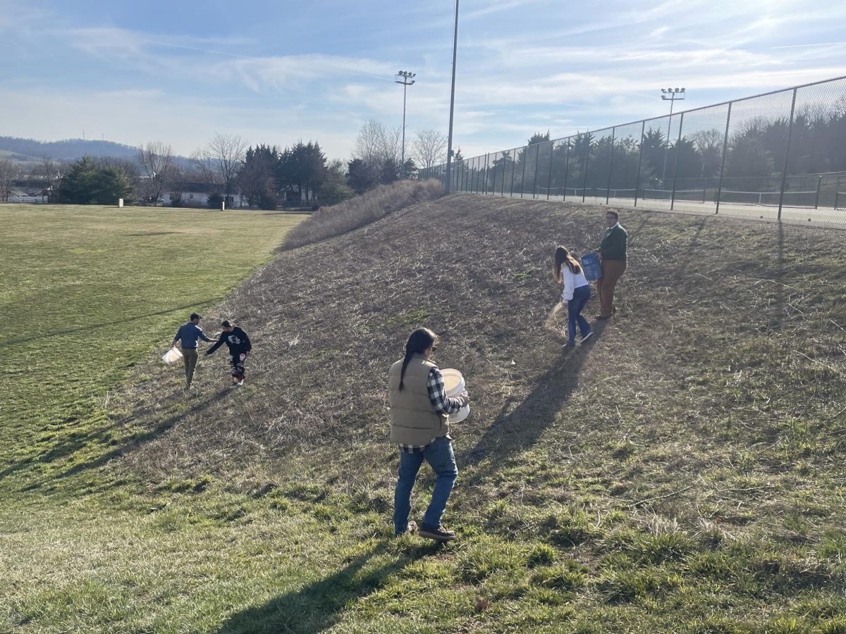 Students helping with spreading the seeds.