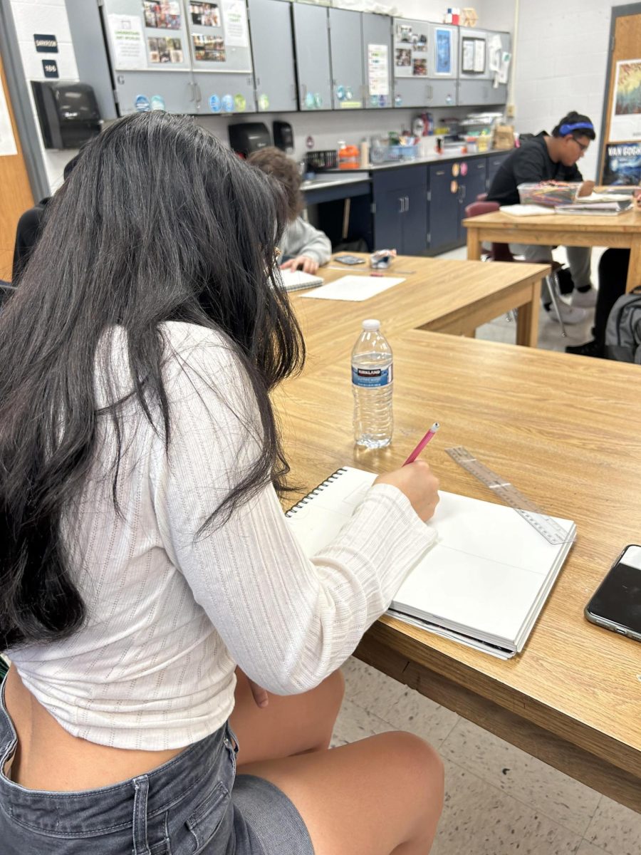 Freshman Kayleigh Lopez works on her project in art