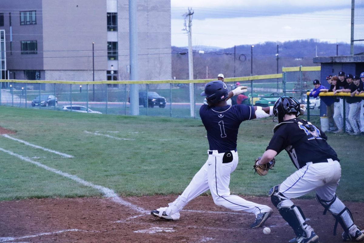 Senior Miguel Fajardo-Luis hits the ball.