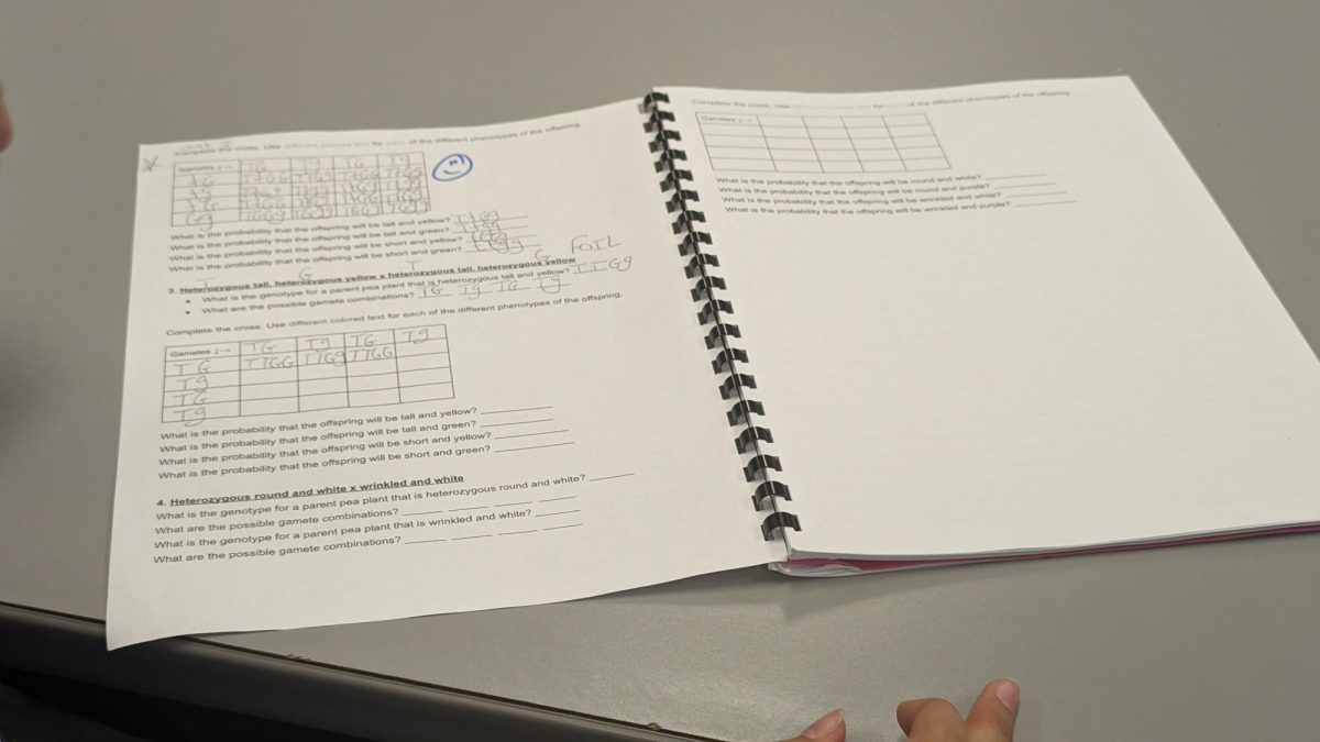 Science workbook