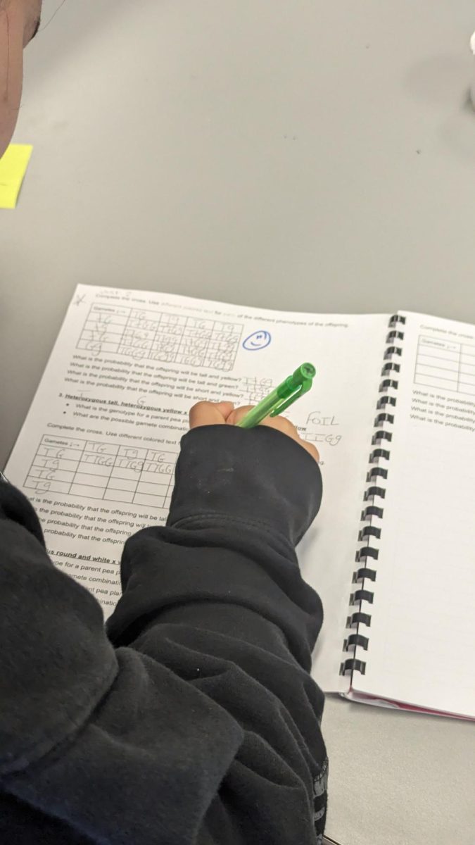 Student works on science workbook