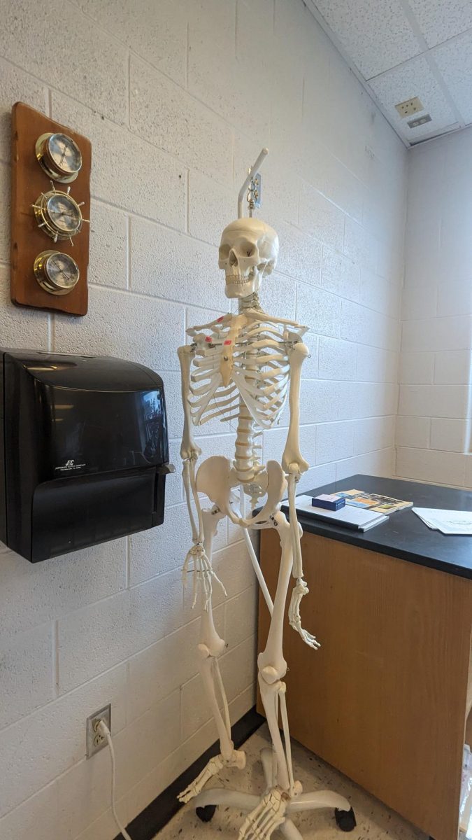 Science classroom skeleton