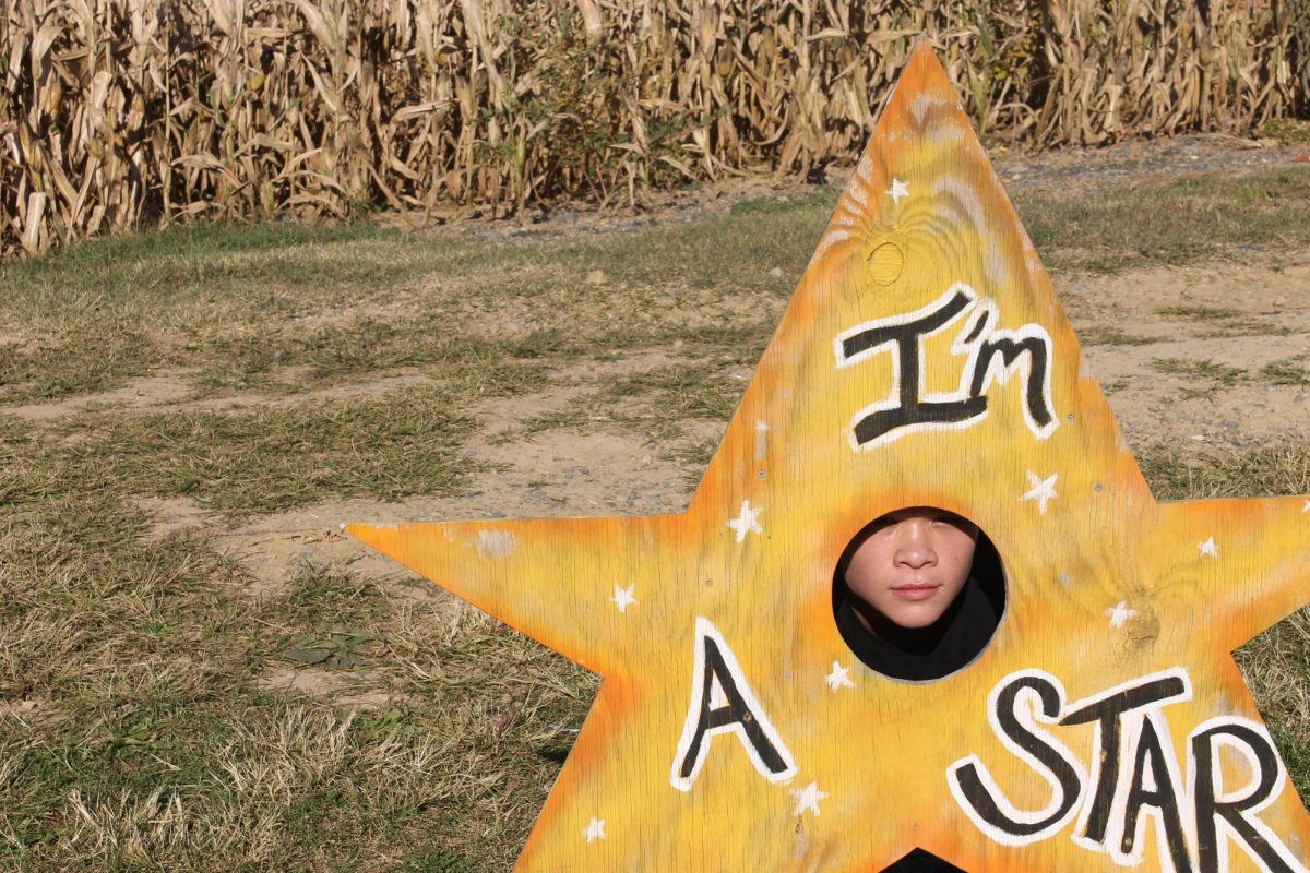 Junior Gabriel Sabarre posses for a photo in wooden cutout.