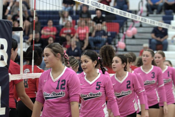 JV  Volleyball  pink out