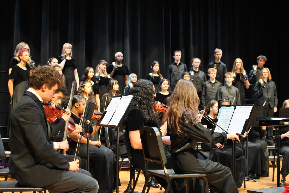 Violin section of the orchestra.