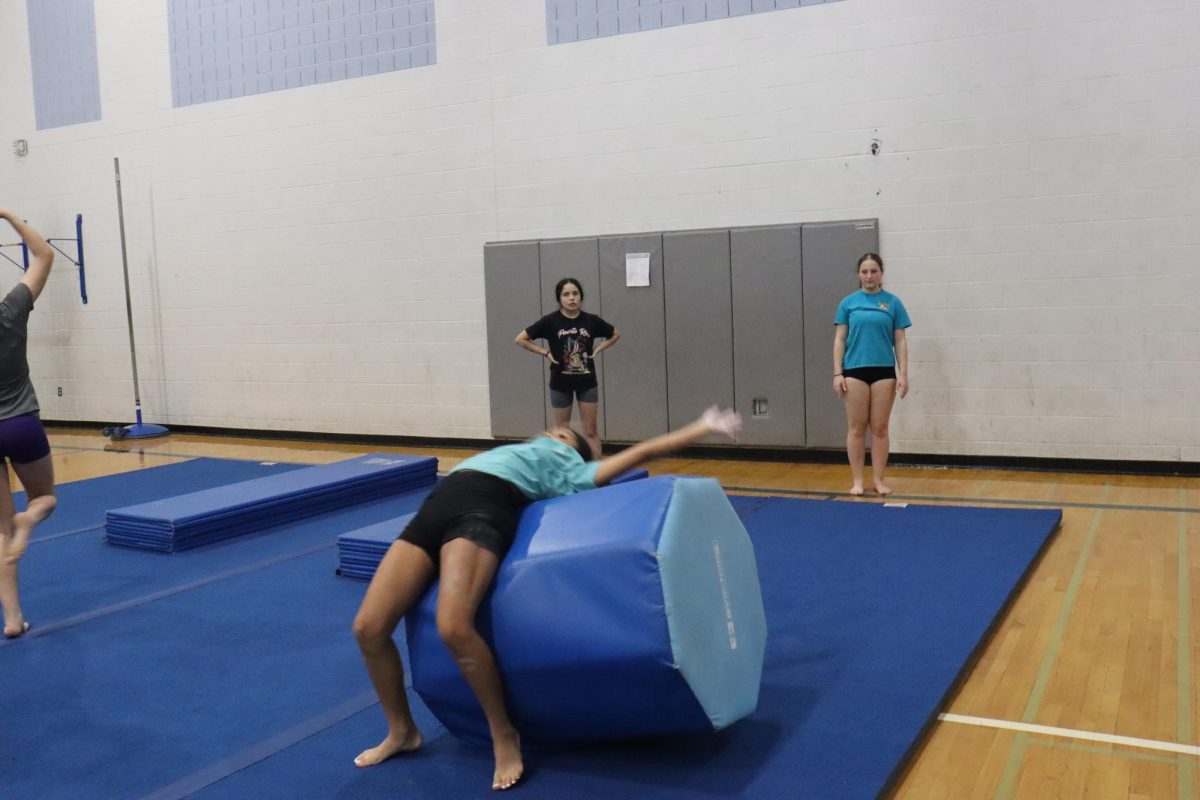 working on getting a back handspring.