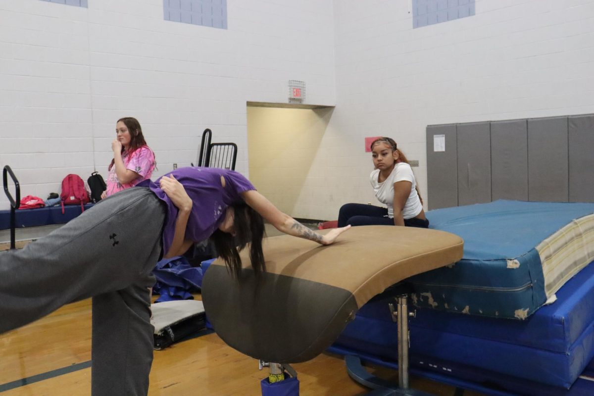 Coach Steph teaching the proper technique for a handspring over the vault table.