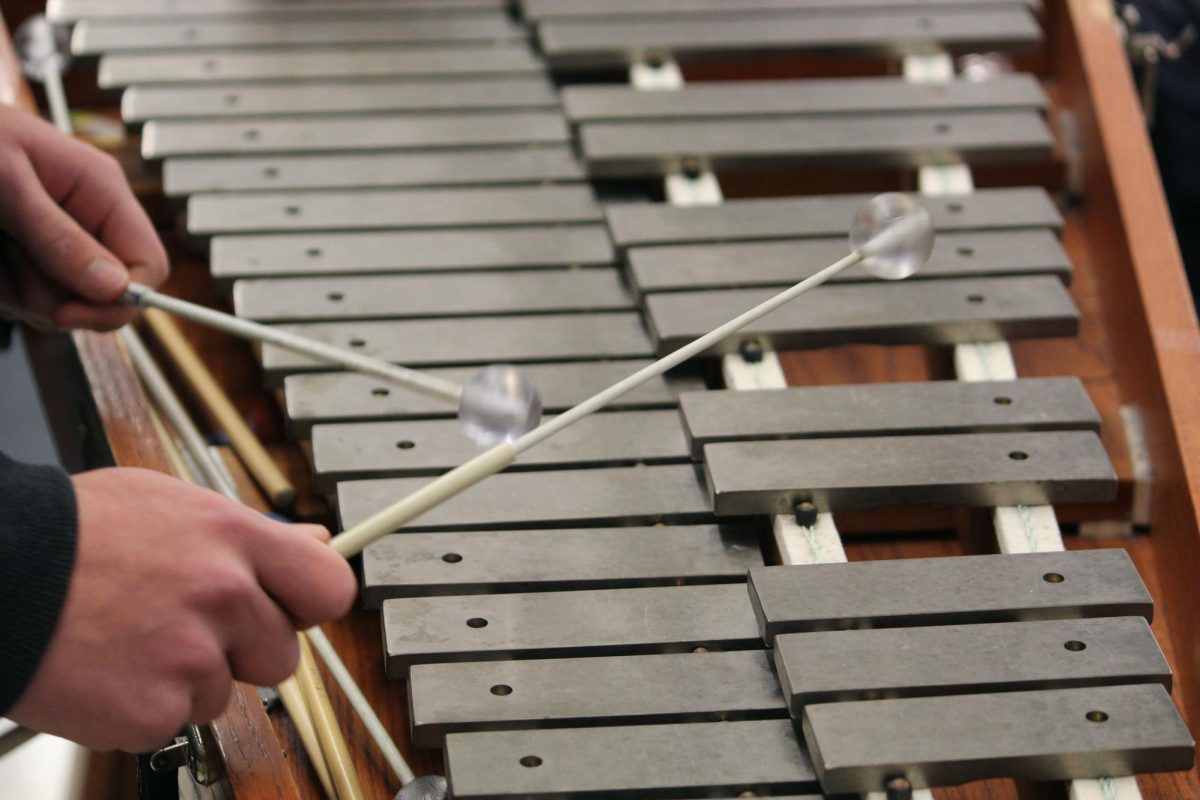 Freshman Lewis Johnson plays the glockenspiel.
