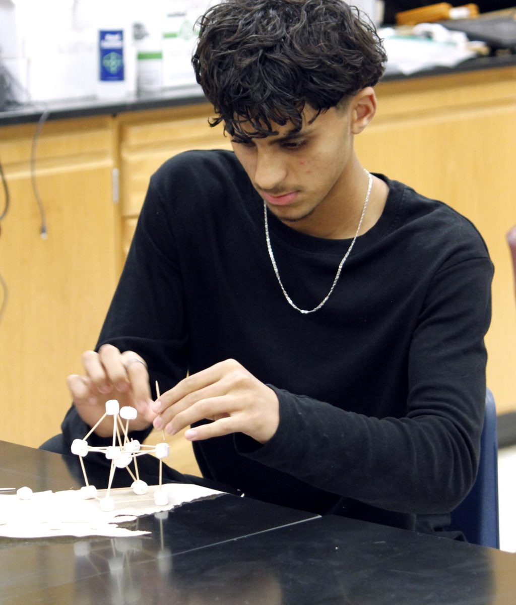 STEM student fiddles with his marshmallow structure.