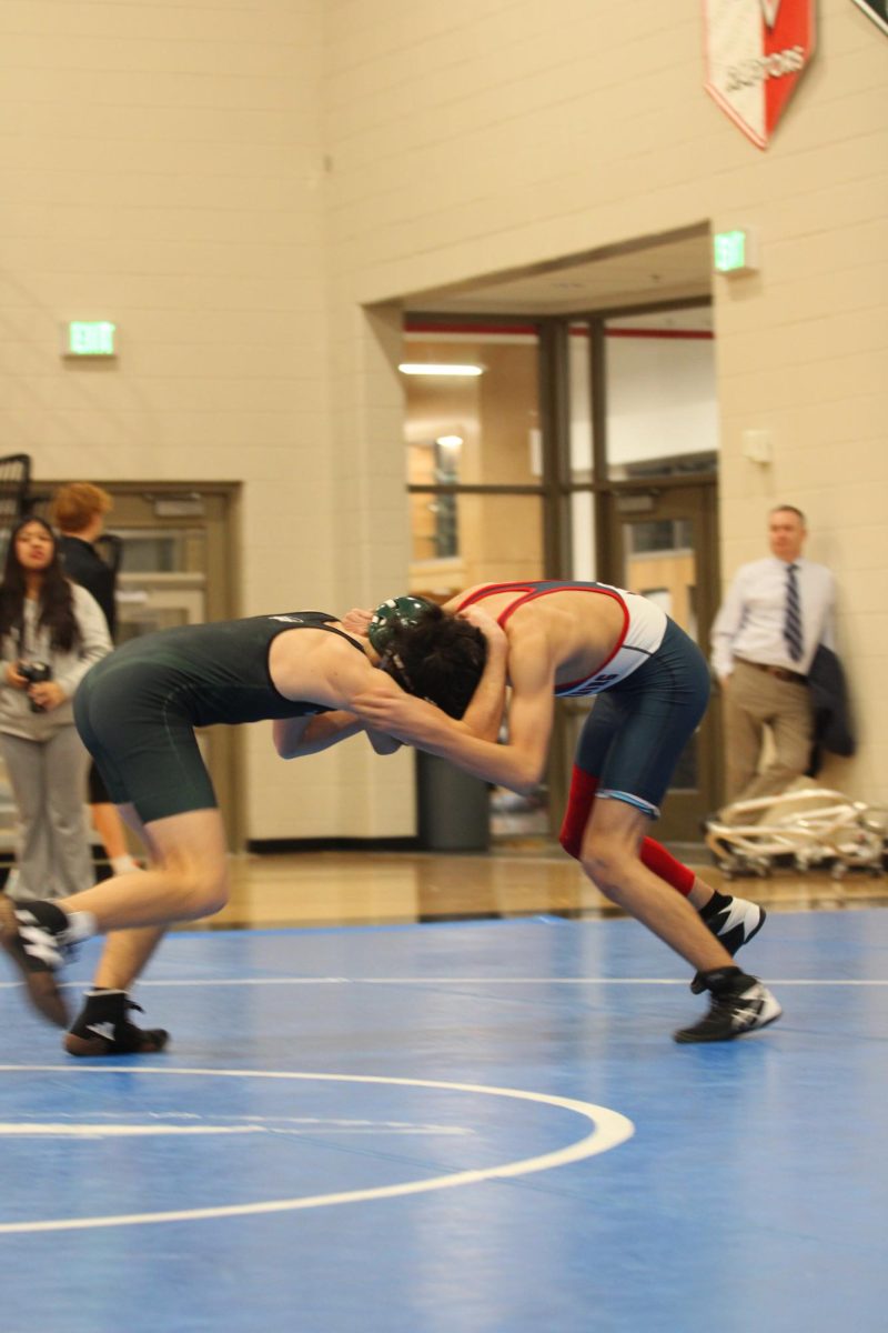 BHS7