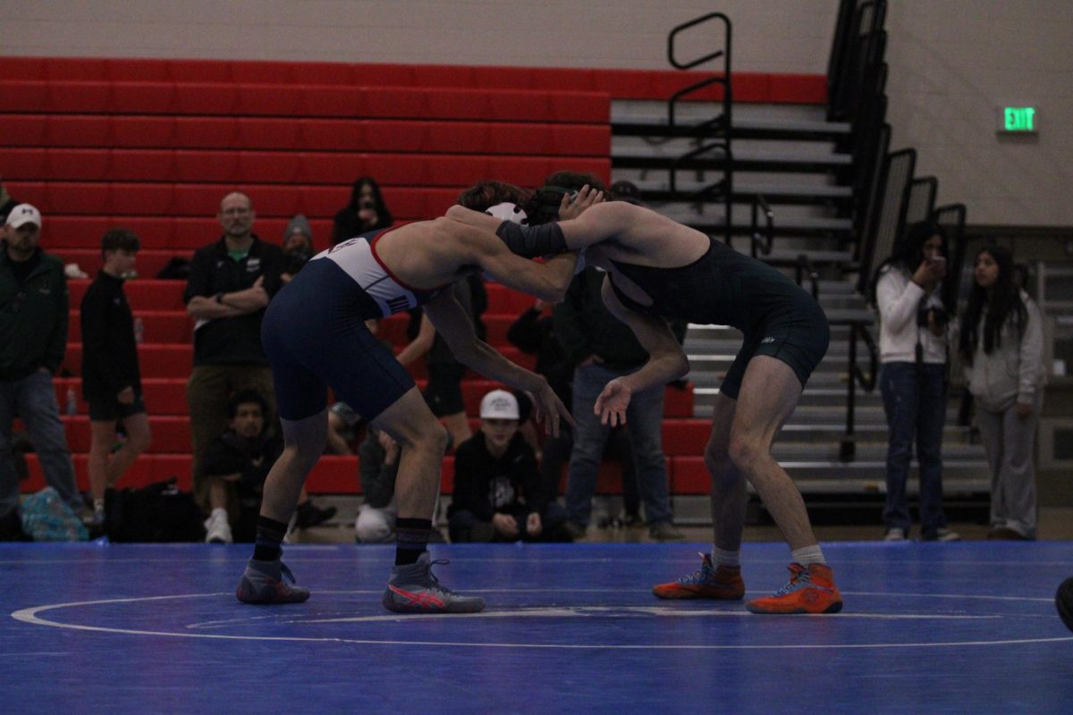 BHS9
