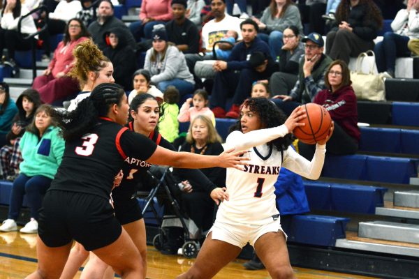 Sophomore Alyse Sheffey guards the ball from Raptors.