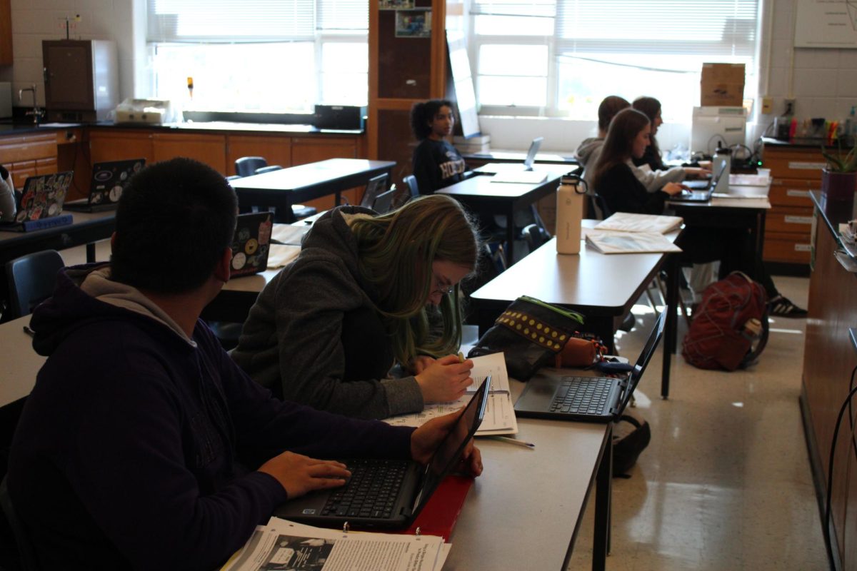 The class working on their assignments.